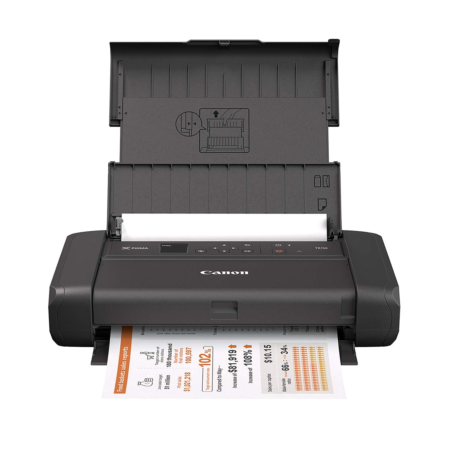 Canon PIXMA TR160 Wireless Portable Printer | 50-Sheet Paper Tray and 1.44" Display