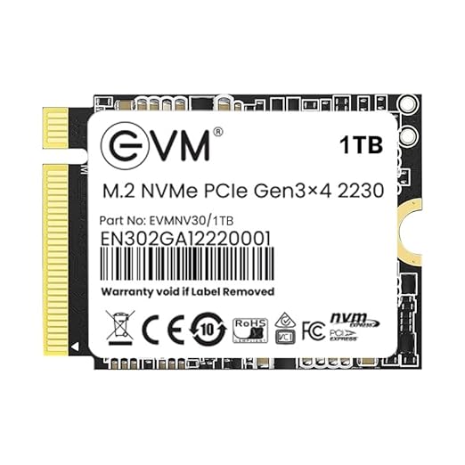 EVM 1TB M.2 NVMe 2230 SSD | PCIe Gen 3x4, 3000MB/s Read, 1600MB/s Write | Internal Solid State Drive for Laptop, PC & Gaming (EVMNV30/1TB)